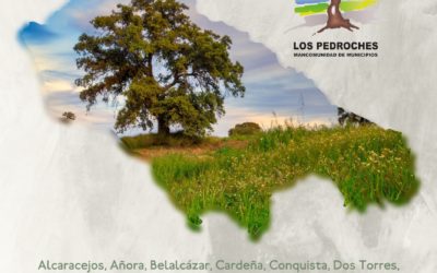 Programa de visitas guiadas «CONOCE LOS PEDROCHES 2023»